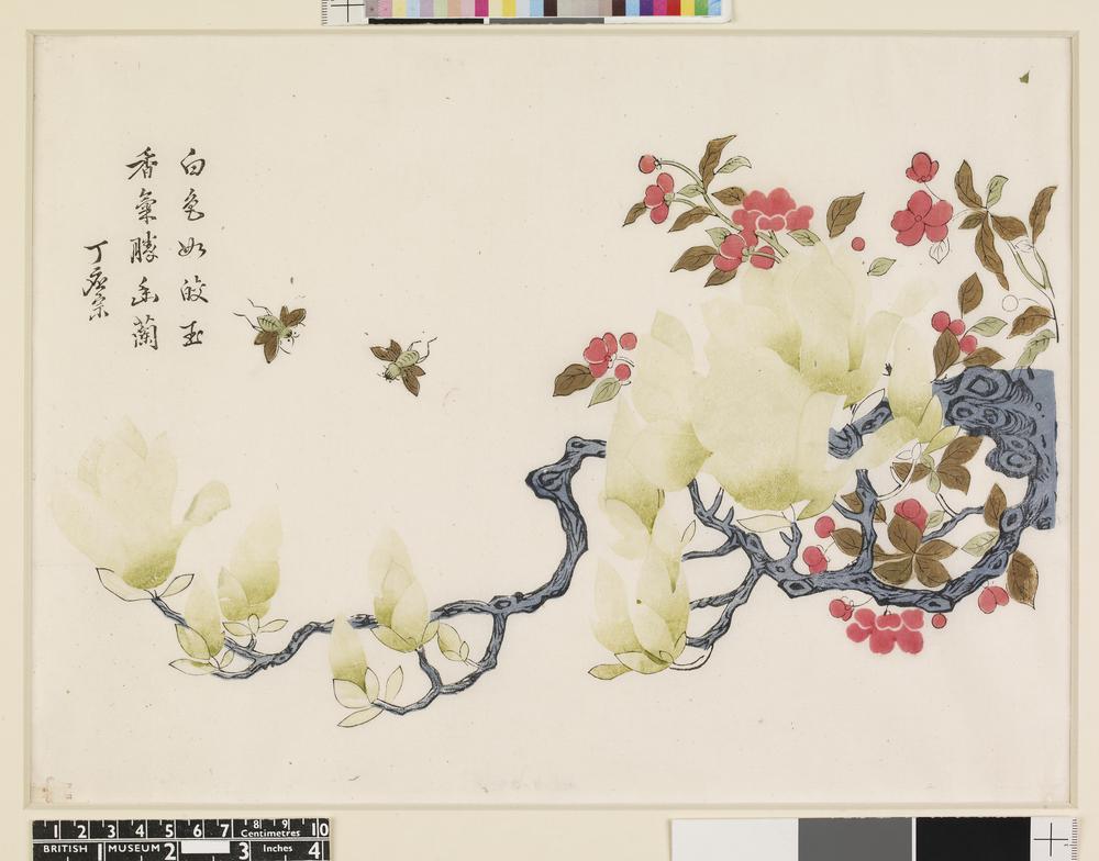 图片[3]-print BM-1906-1128-0.16-China Archive